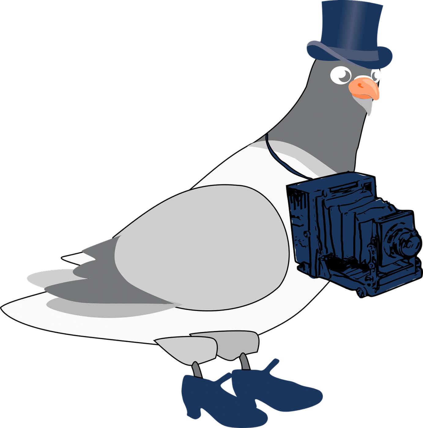 pigeon photographer cartoon funny  svg vector