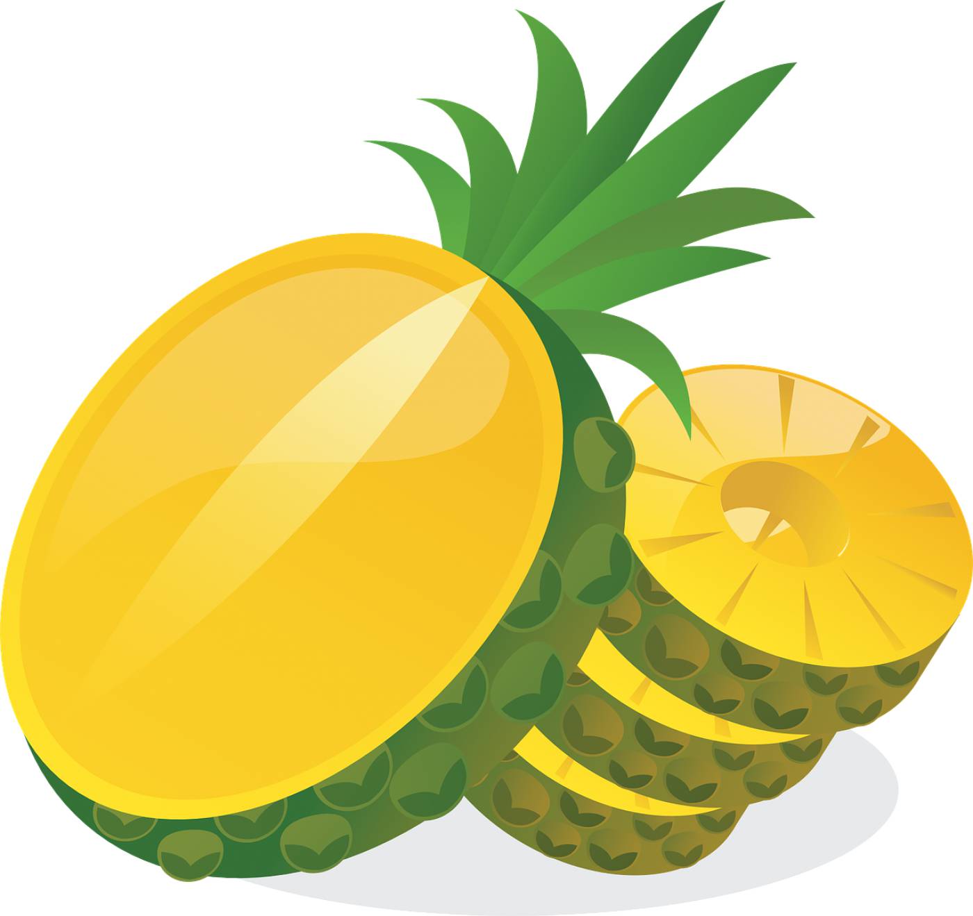 pineapple fruit food sliced fruit  svg vector