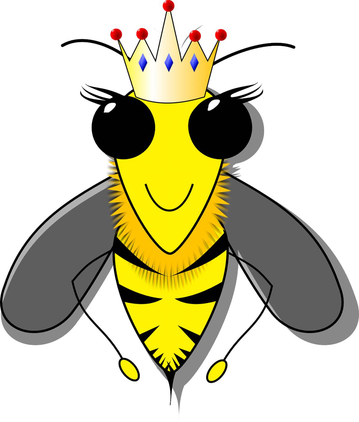 queen bee bee beehive beeswax hive  svg vector