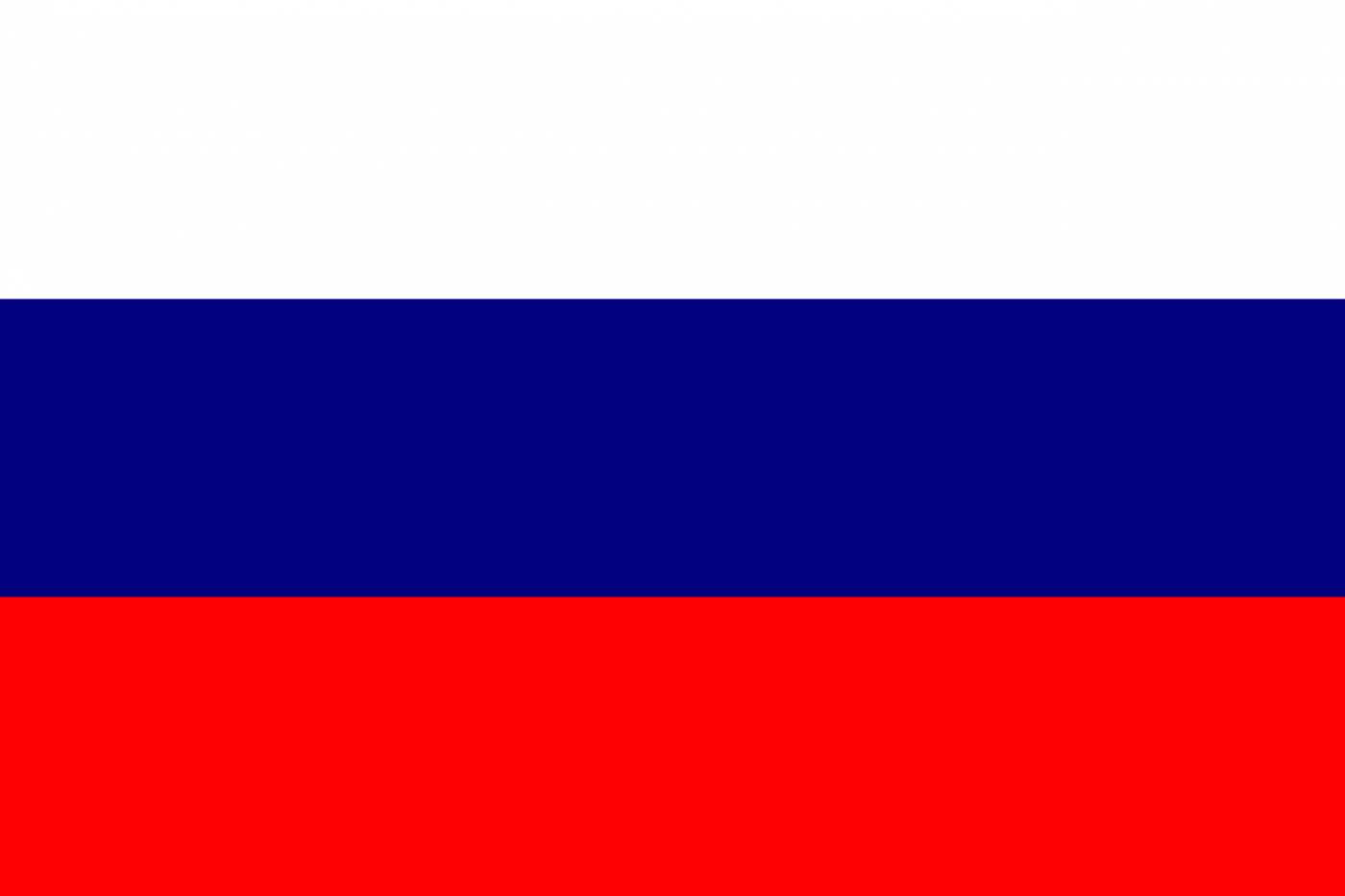 russia flag national russian  svg vector
