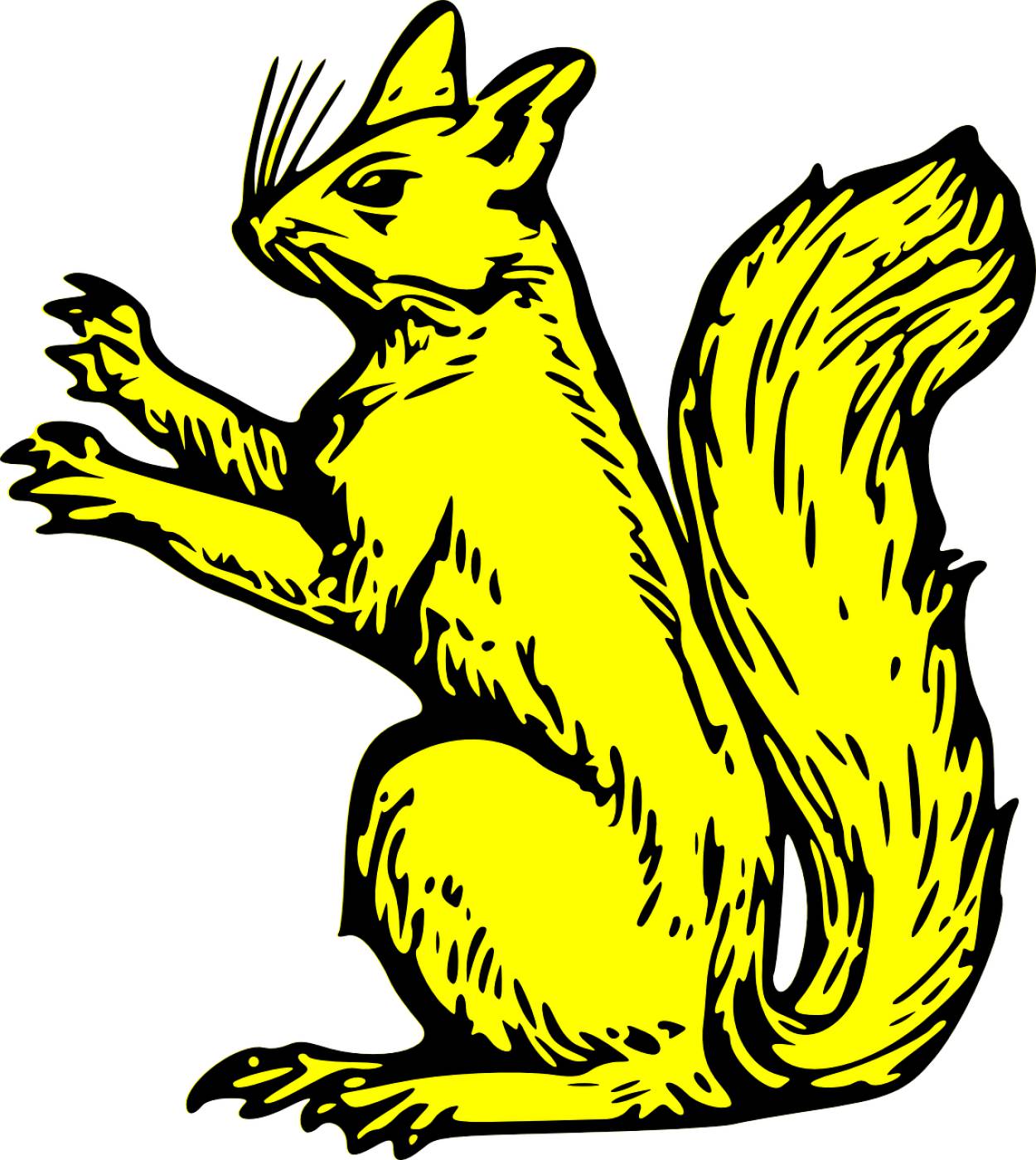 shield squirrel gold coat arms  svg vector