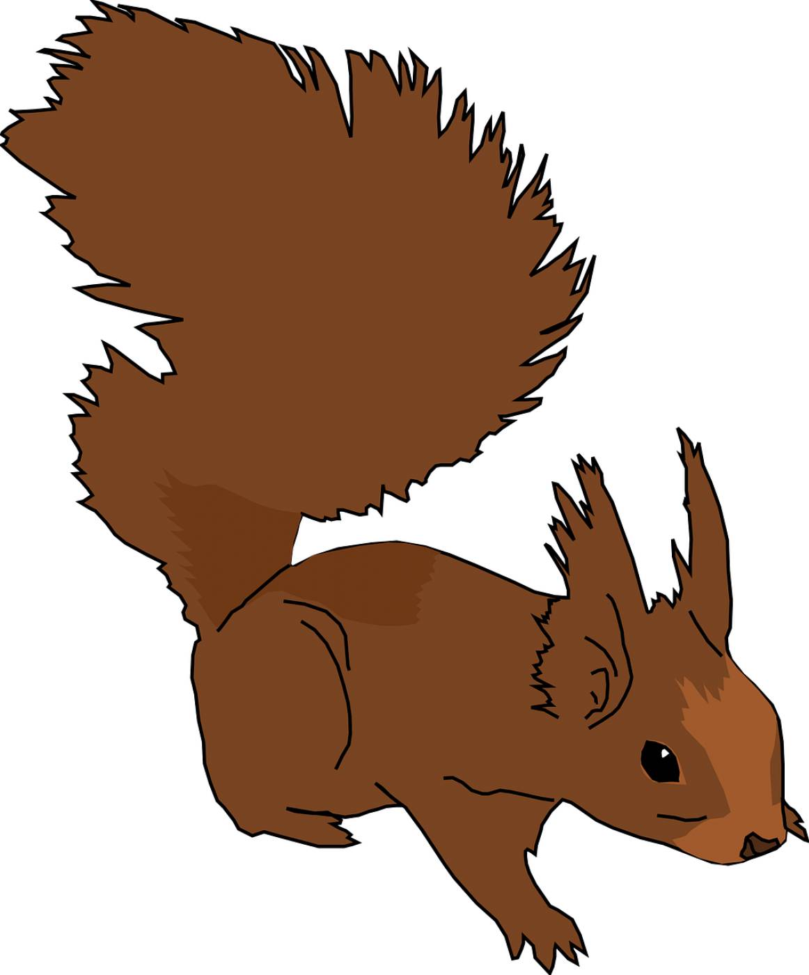 squirrel animal cute rodent fluffy  svg vector