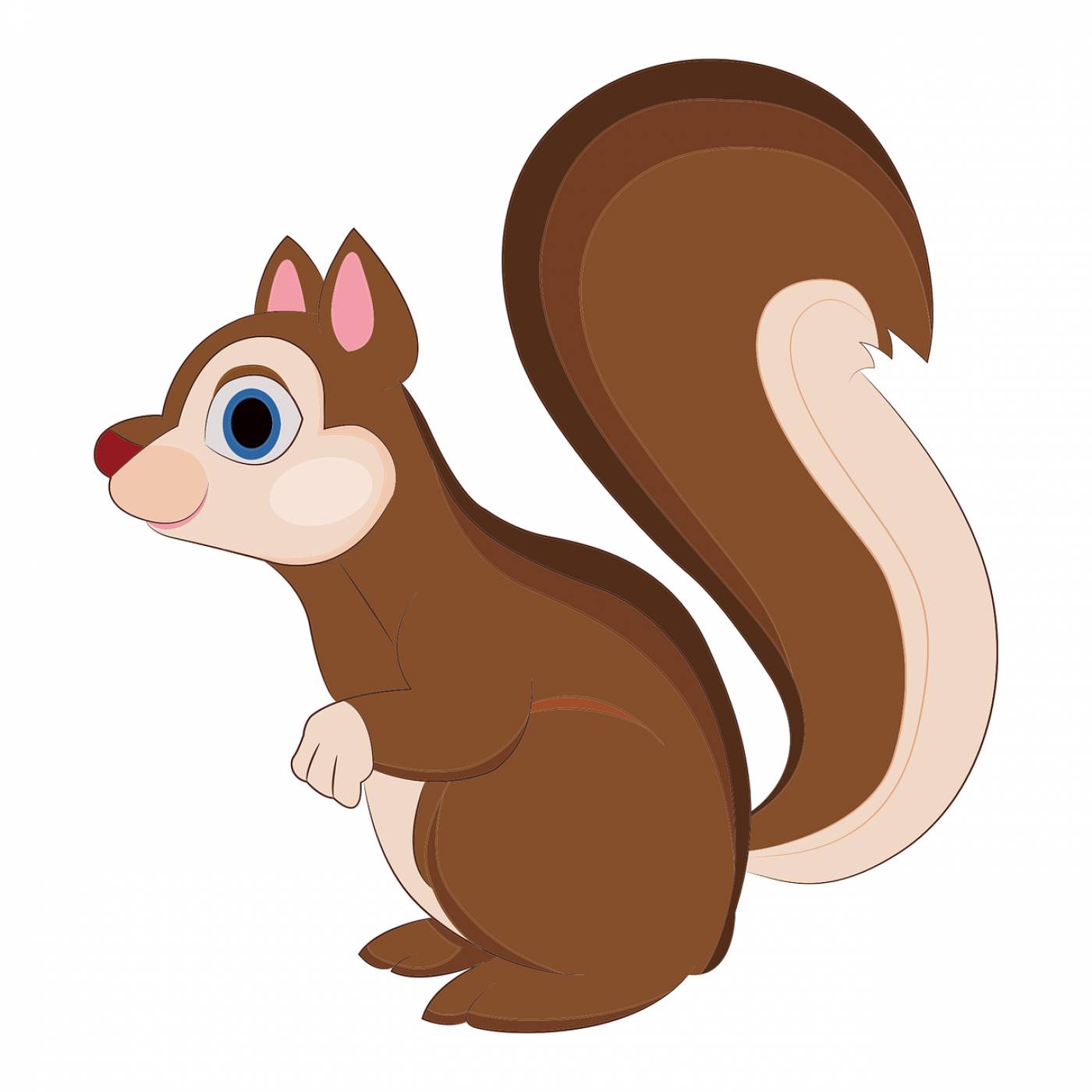 squirrel forest animal rodent tree  svg vector