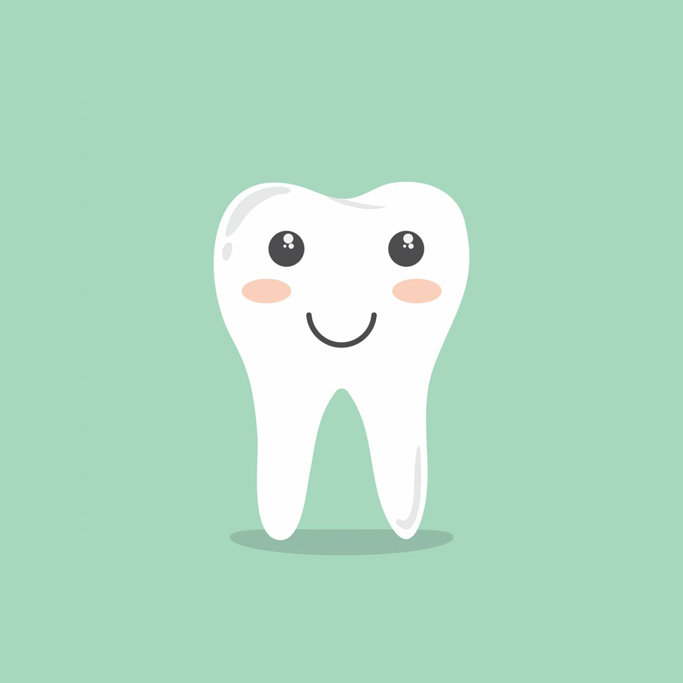 tooth cartoon hygiene cleaning  svg vector