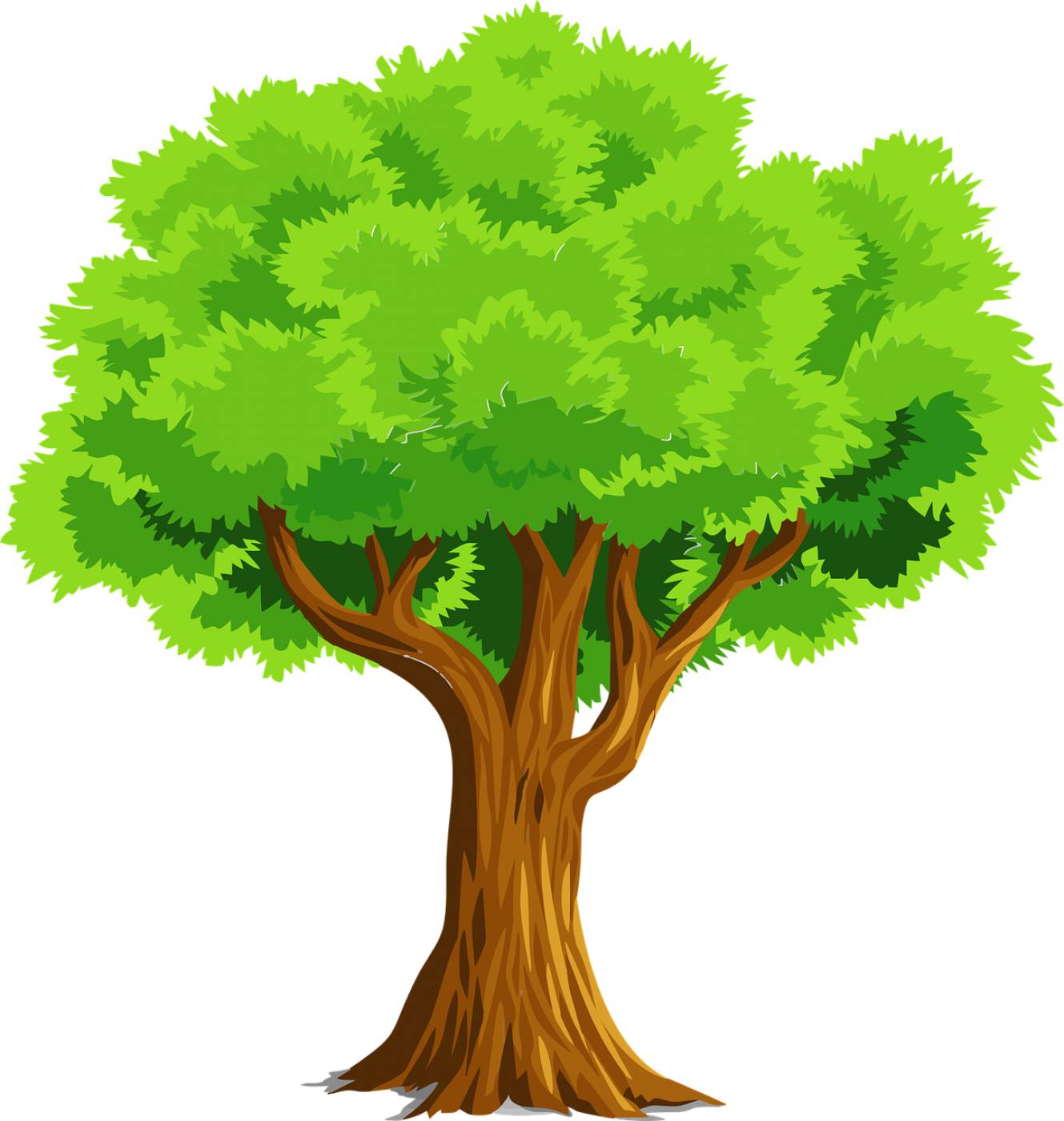 tree nature drawing plant branches  svg vector