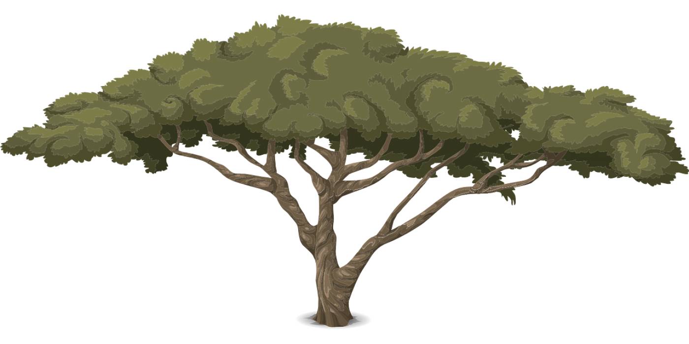 tree trunk nature leaves design  svg vector