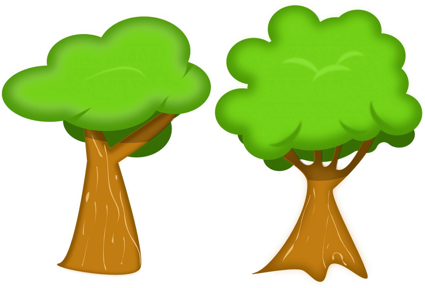 trees forest nature woods flora  svg vector