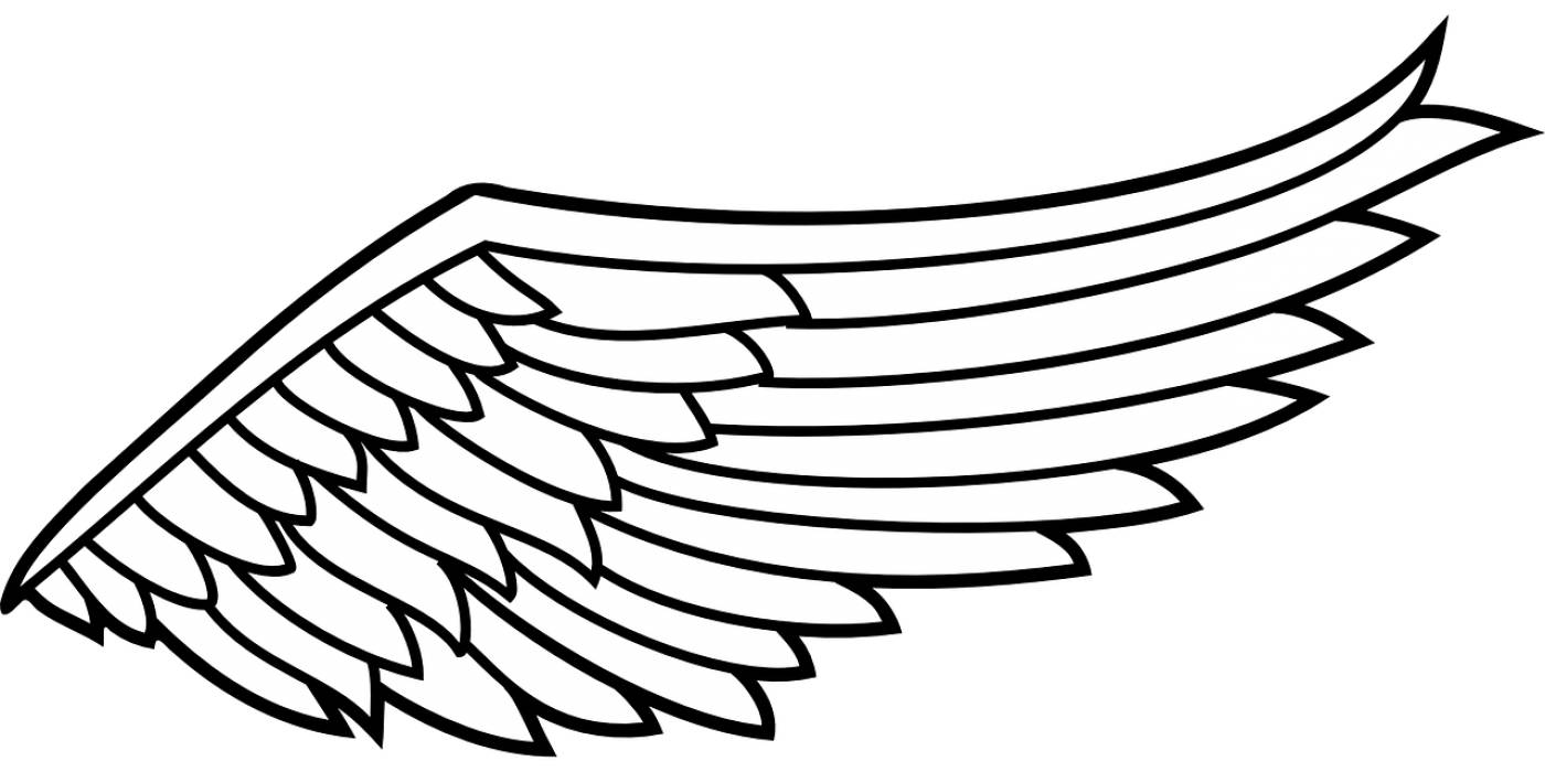 wing flight angel spiritual flying  svg vector