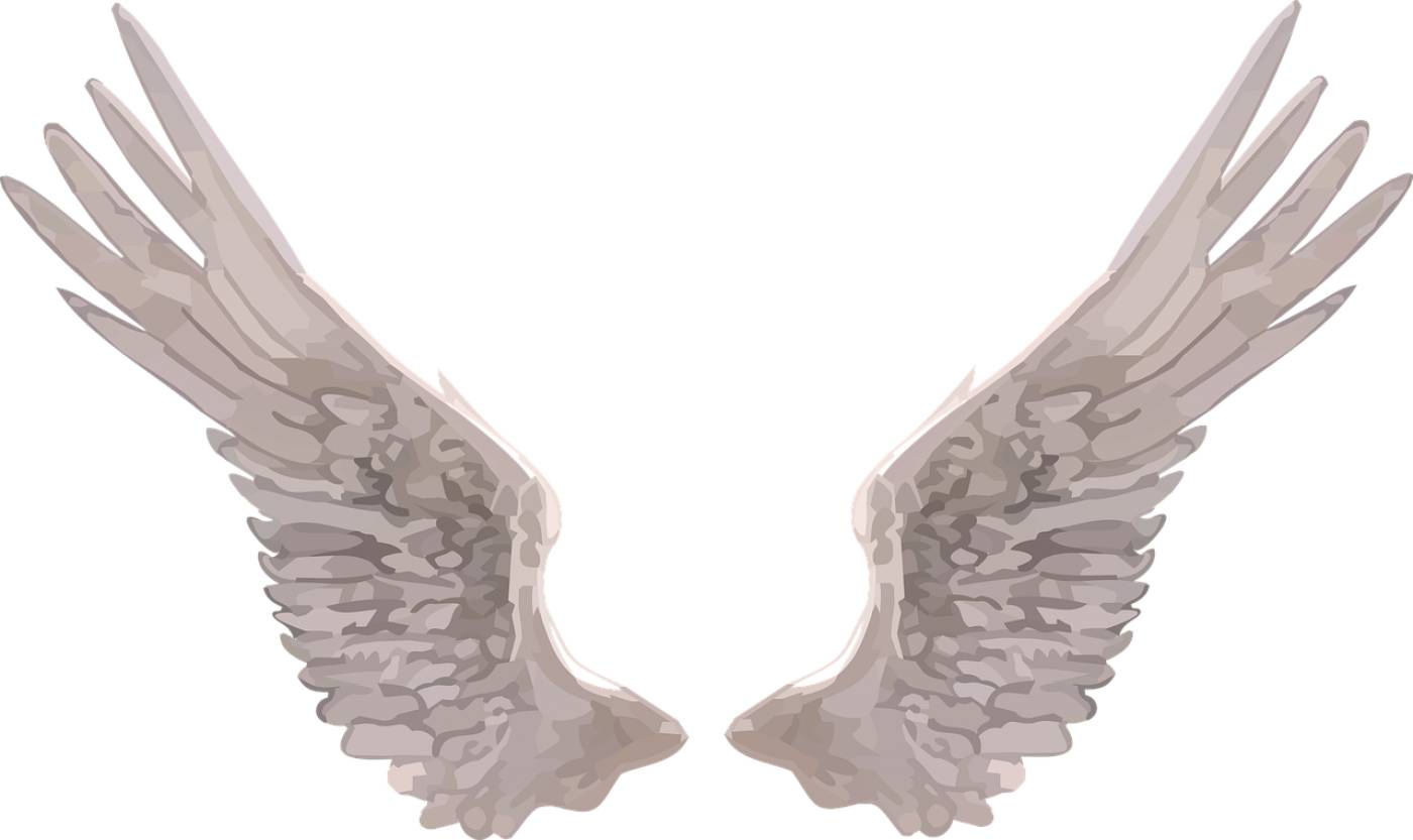 wings angel realistic wings wings  svg vector