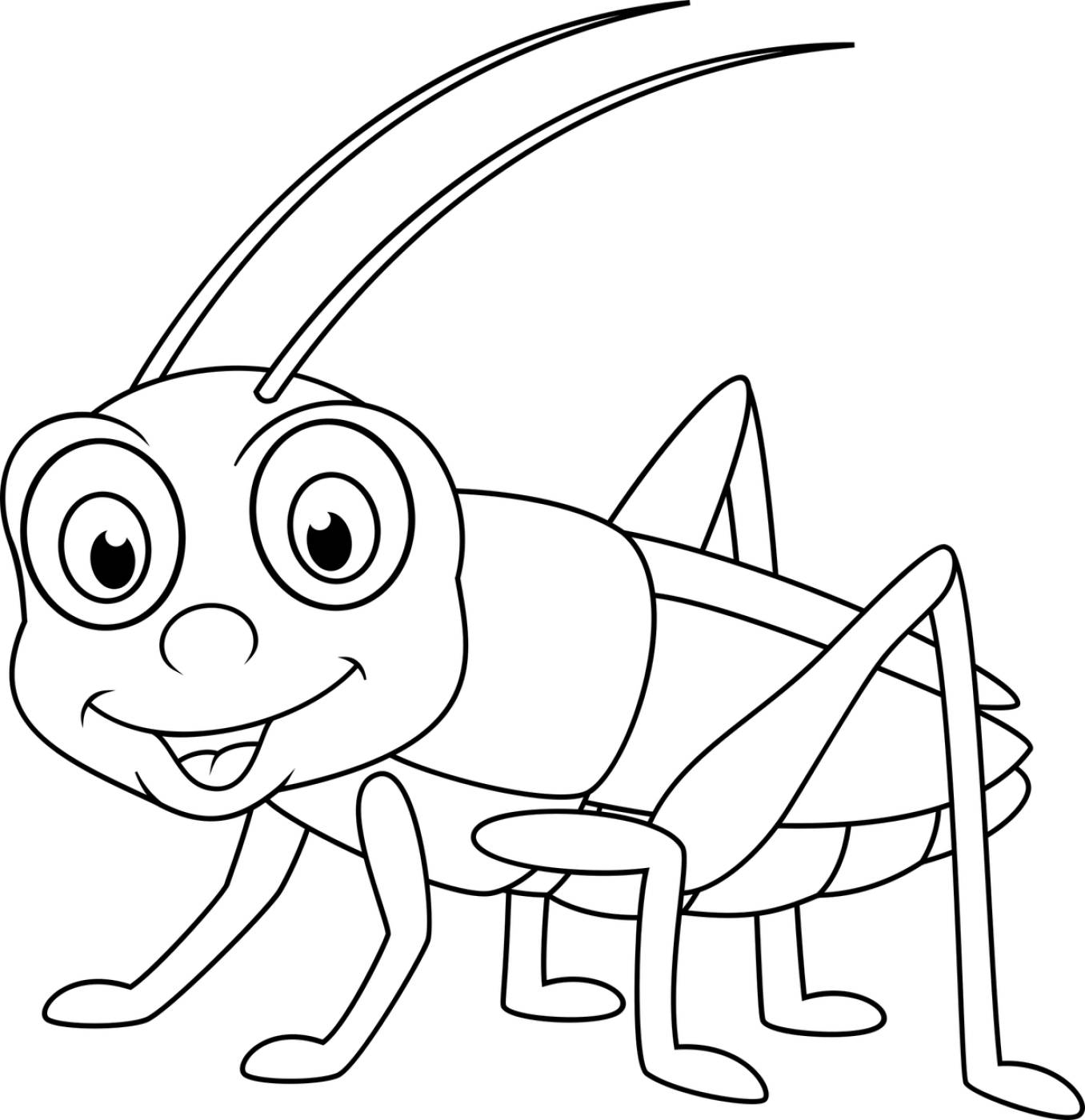 cricket grasshopper insect baby  svg vector