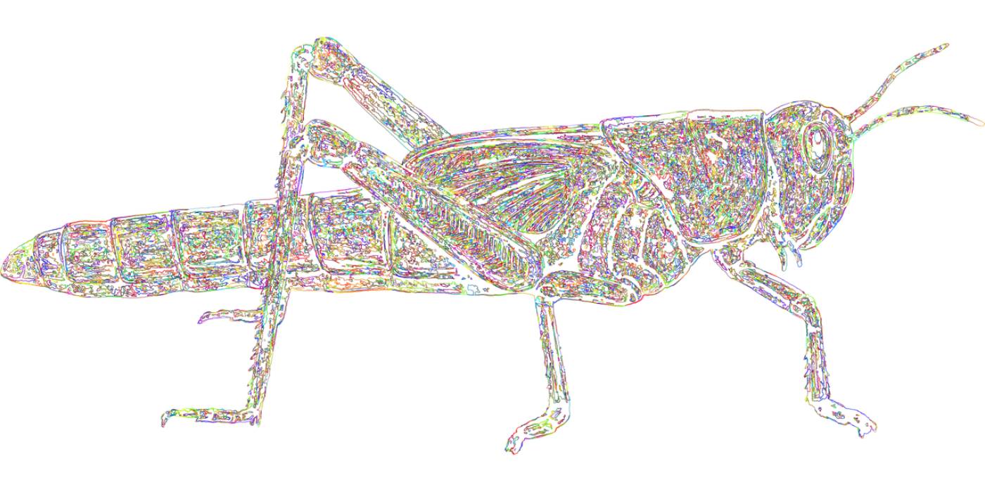 grasshopper cricket line art locust  svg vector
