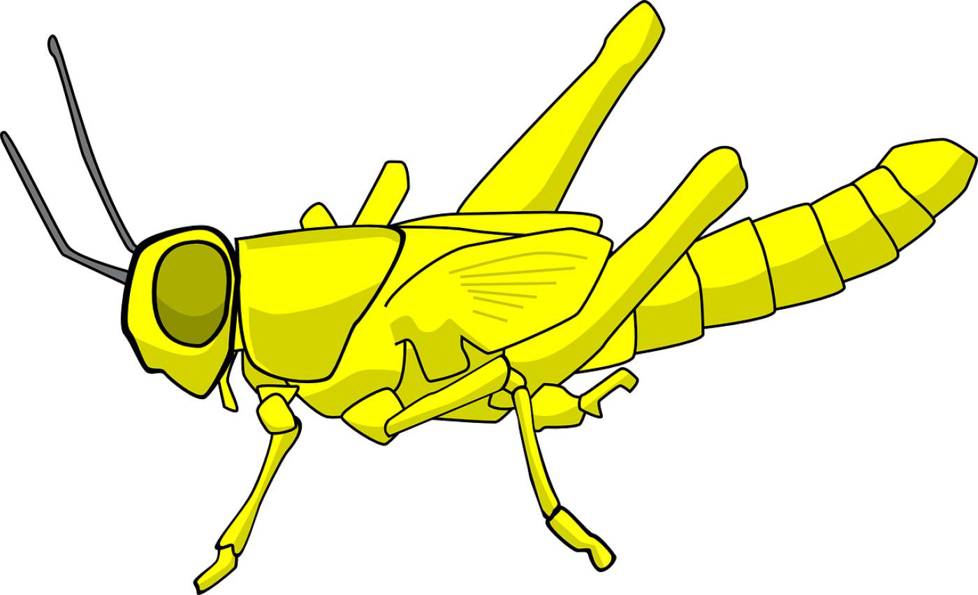 locusts pest insect destructive  svg vector