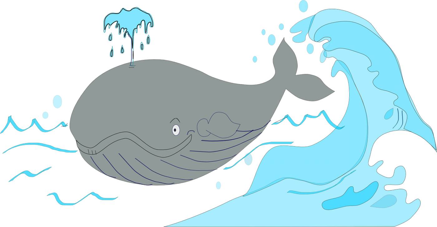 whale pot whale sperm whale  svg vector