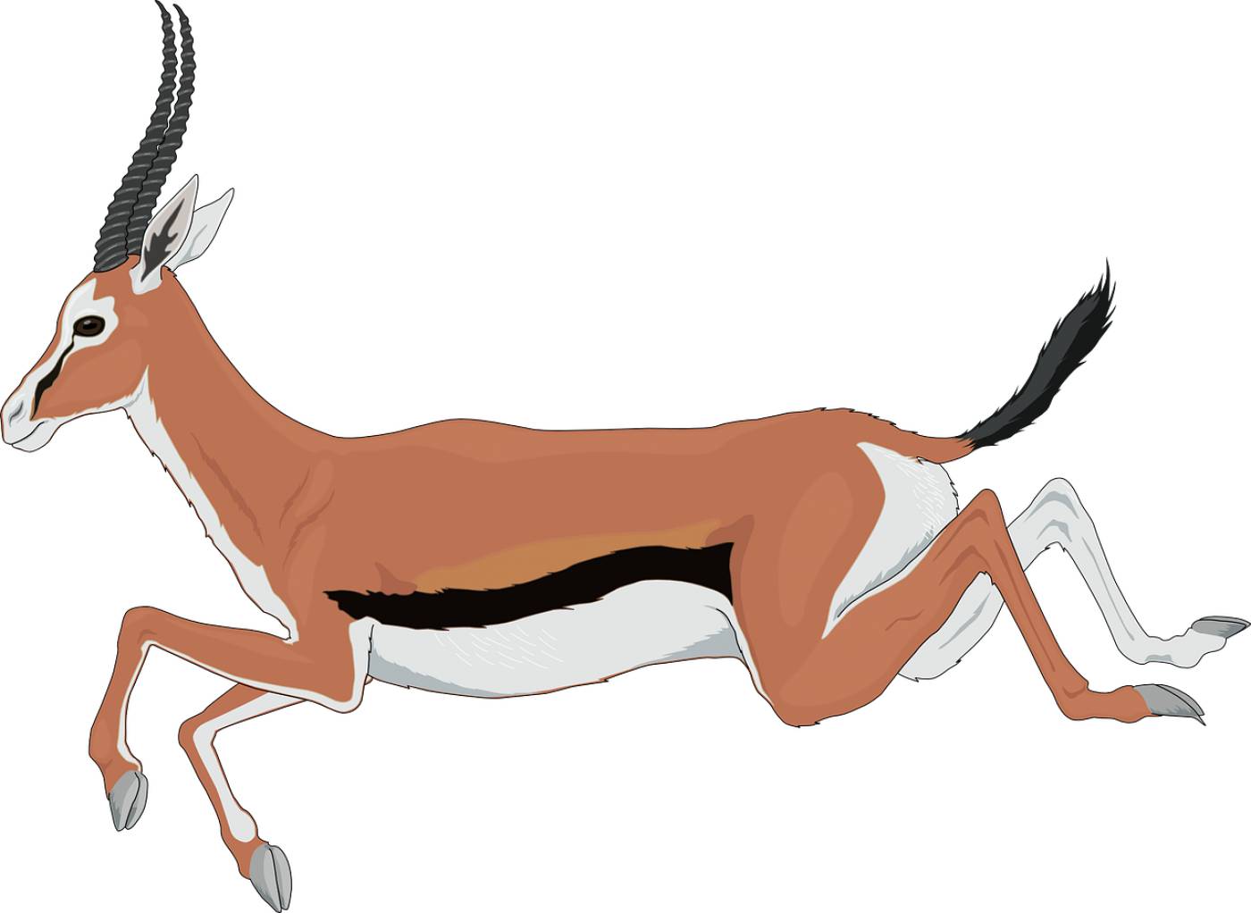 antelope running leaping animal  svg vector