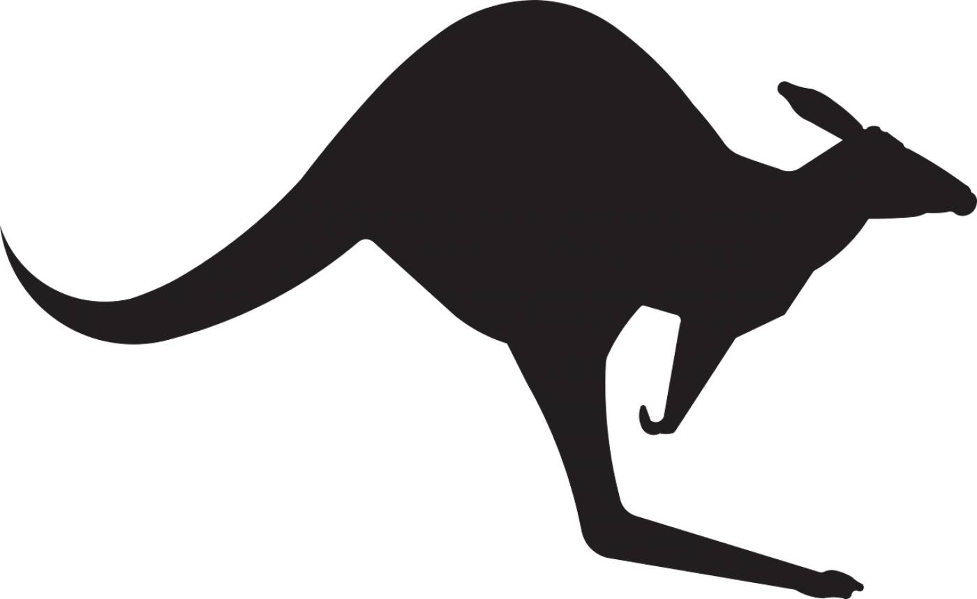 kangaroo animal australia jump  svg vector