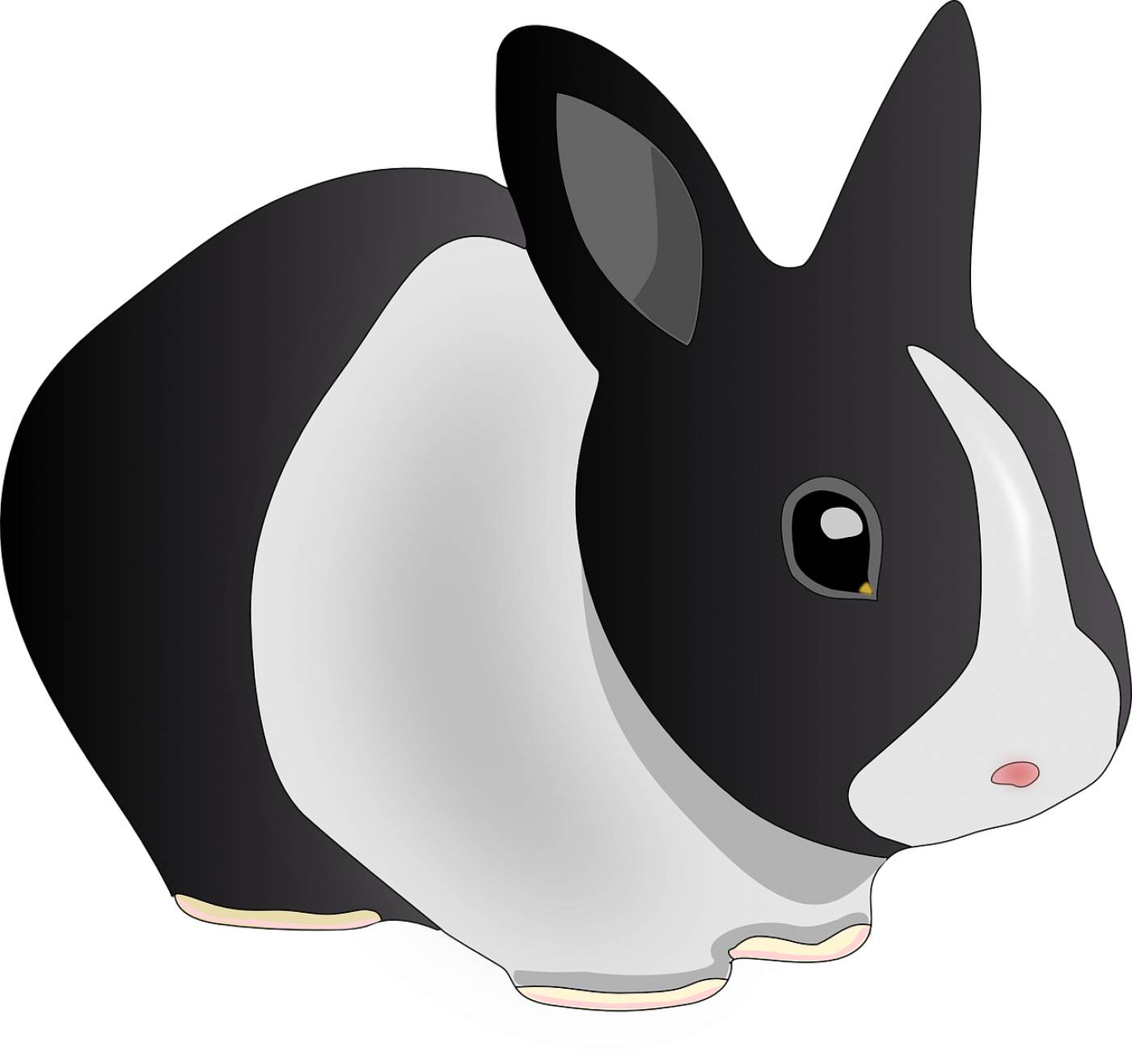 rabbit animal black and white bunny  svg vector