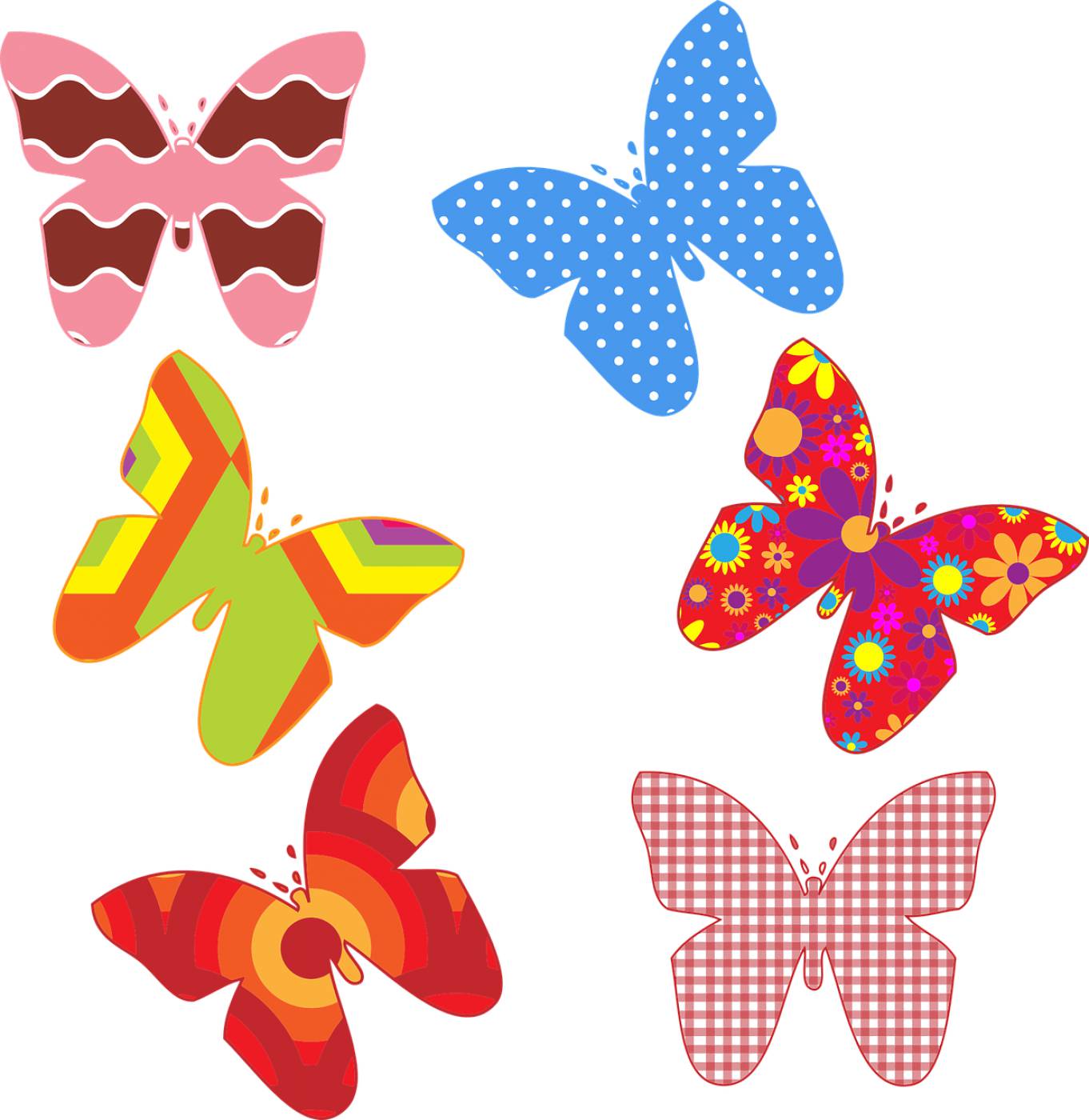 butterflies butterfly colorful  svg vector