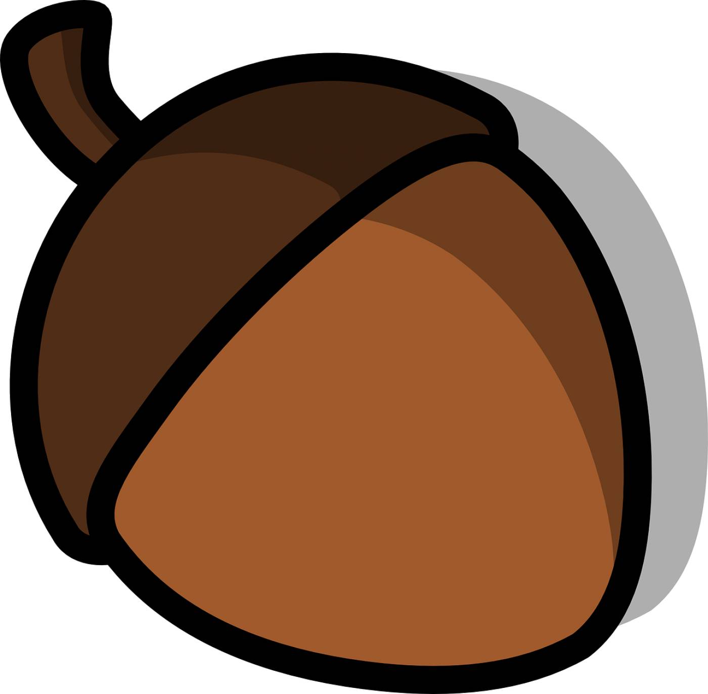 acorn nut seed acorn acorn acorn  svg vector