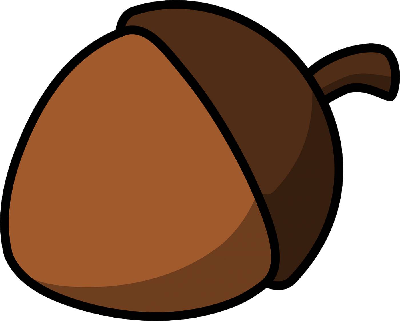 acorn nut seed seed pod acorn  svg vector