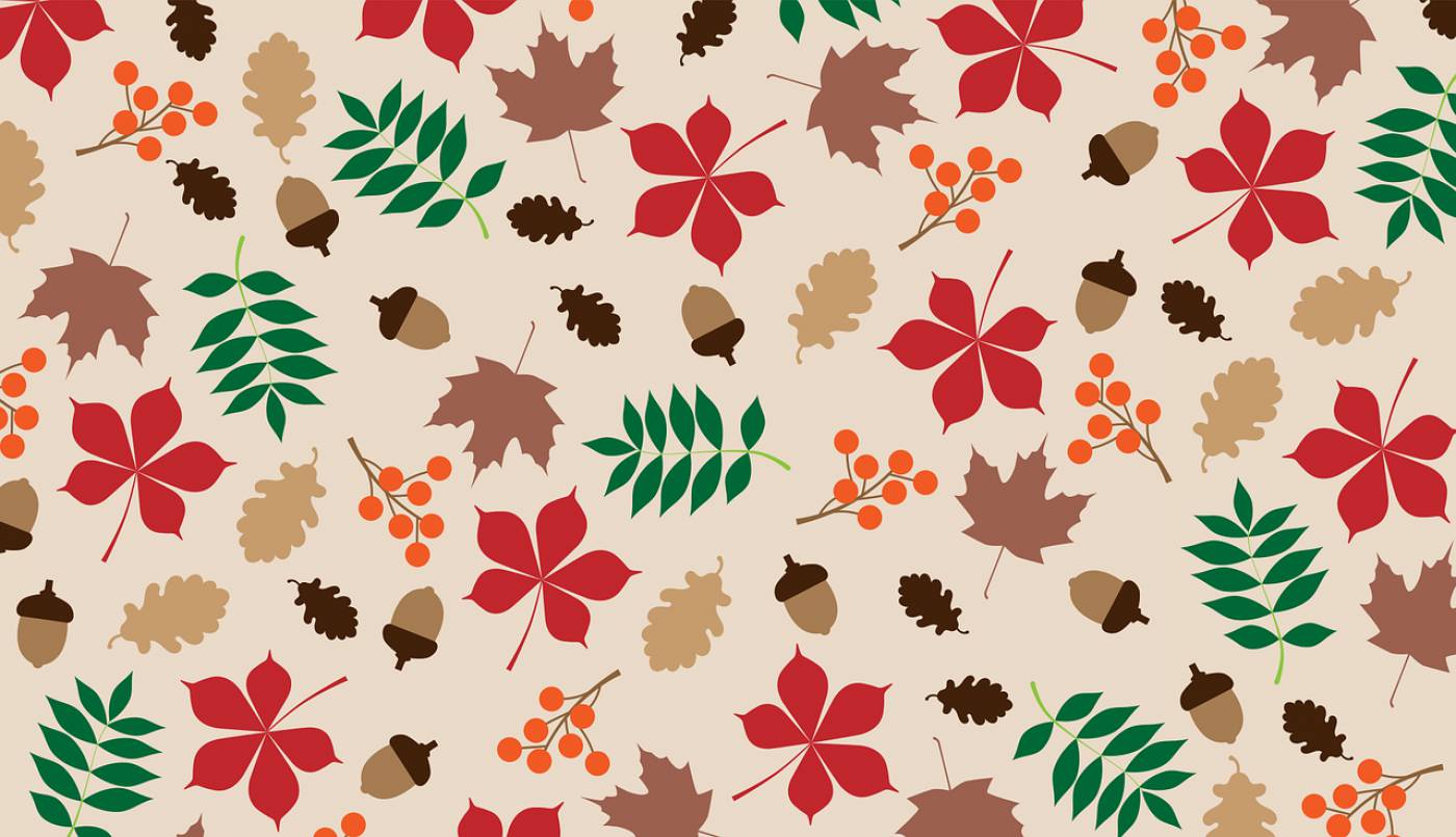 autumn leaves pattern  svg vector