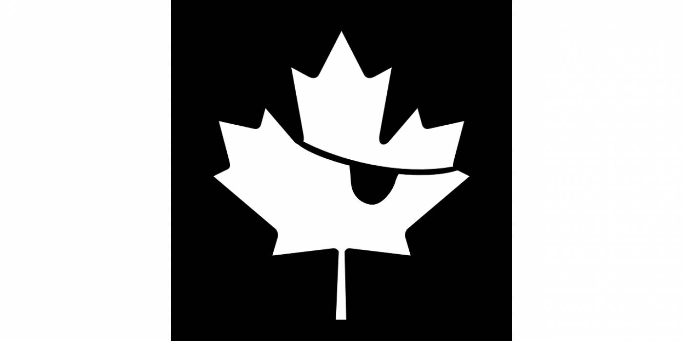 flag canadian pirate maple leaf  svg vector