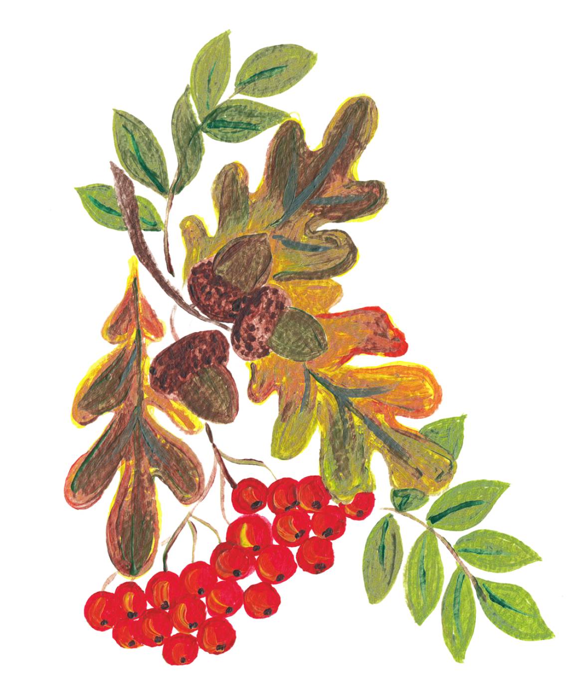rowan berries acorn leaves autumn  svg vector
