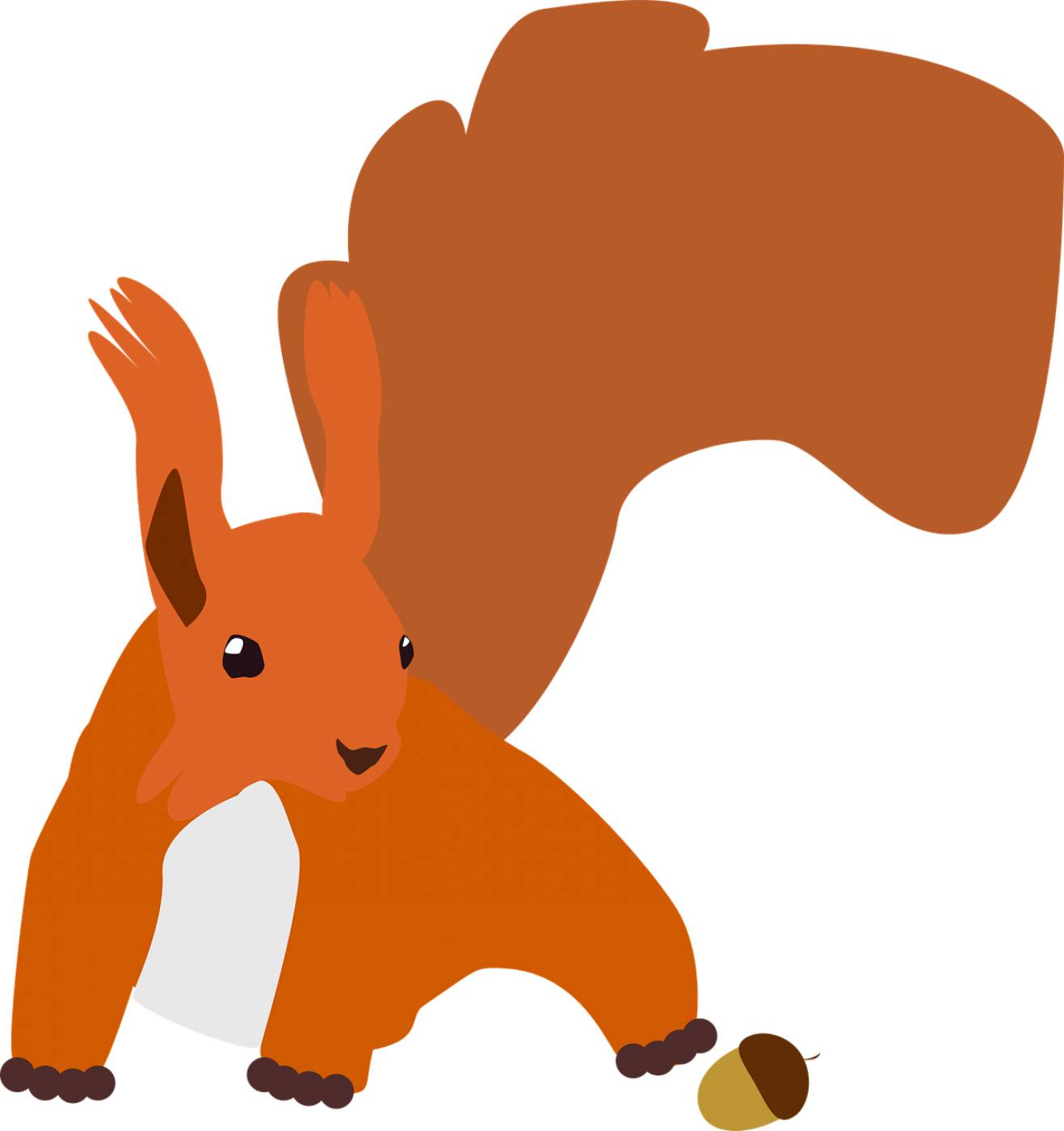 squirrel rodent fall cute nature  svg vector