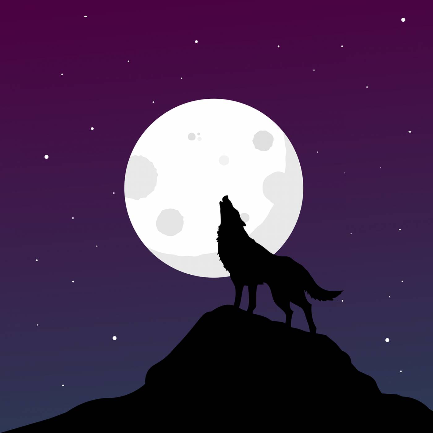 wolf howl moon full moon moonlight  svg vector