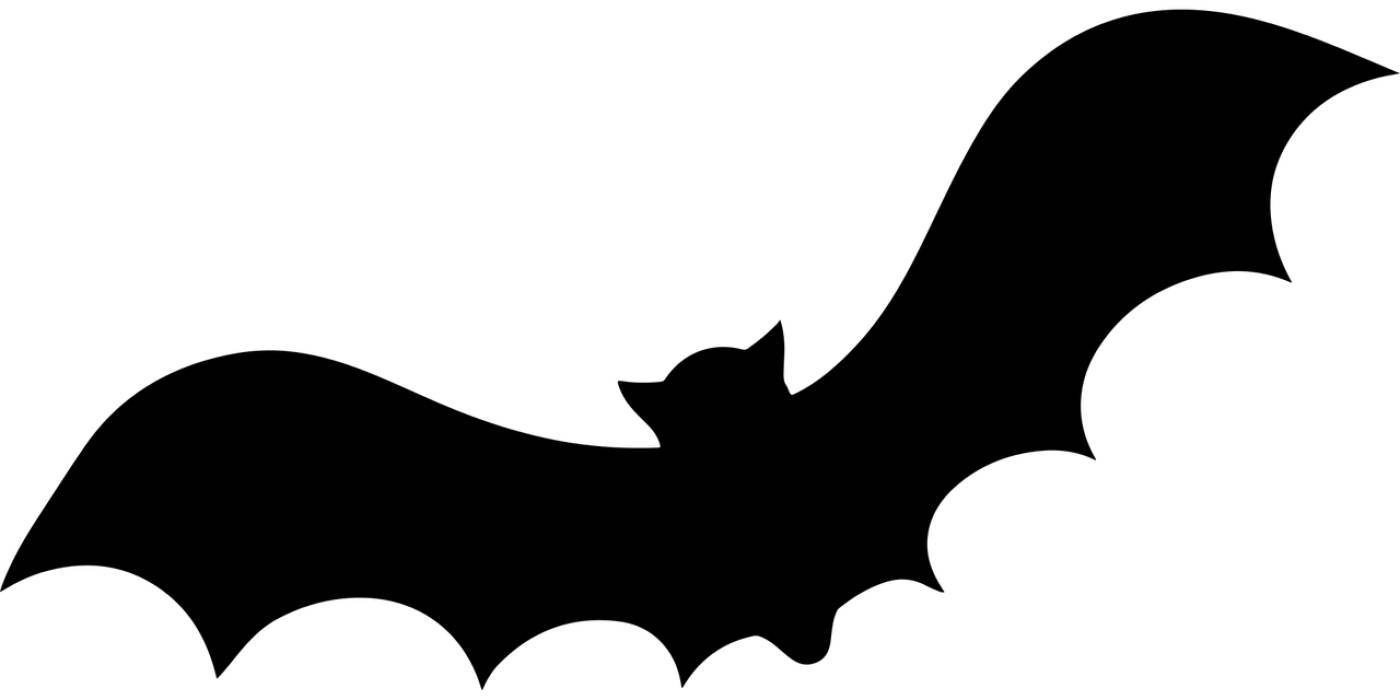animal bat fly halloween  svg vector