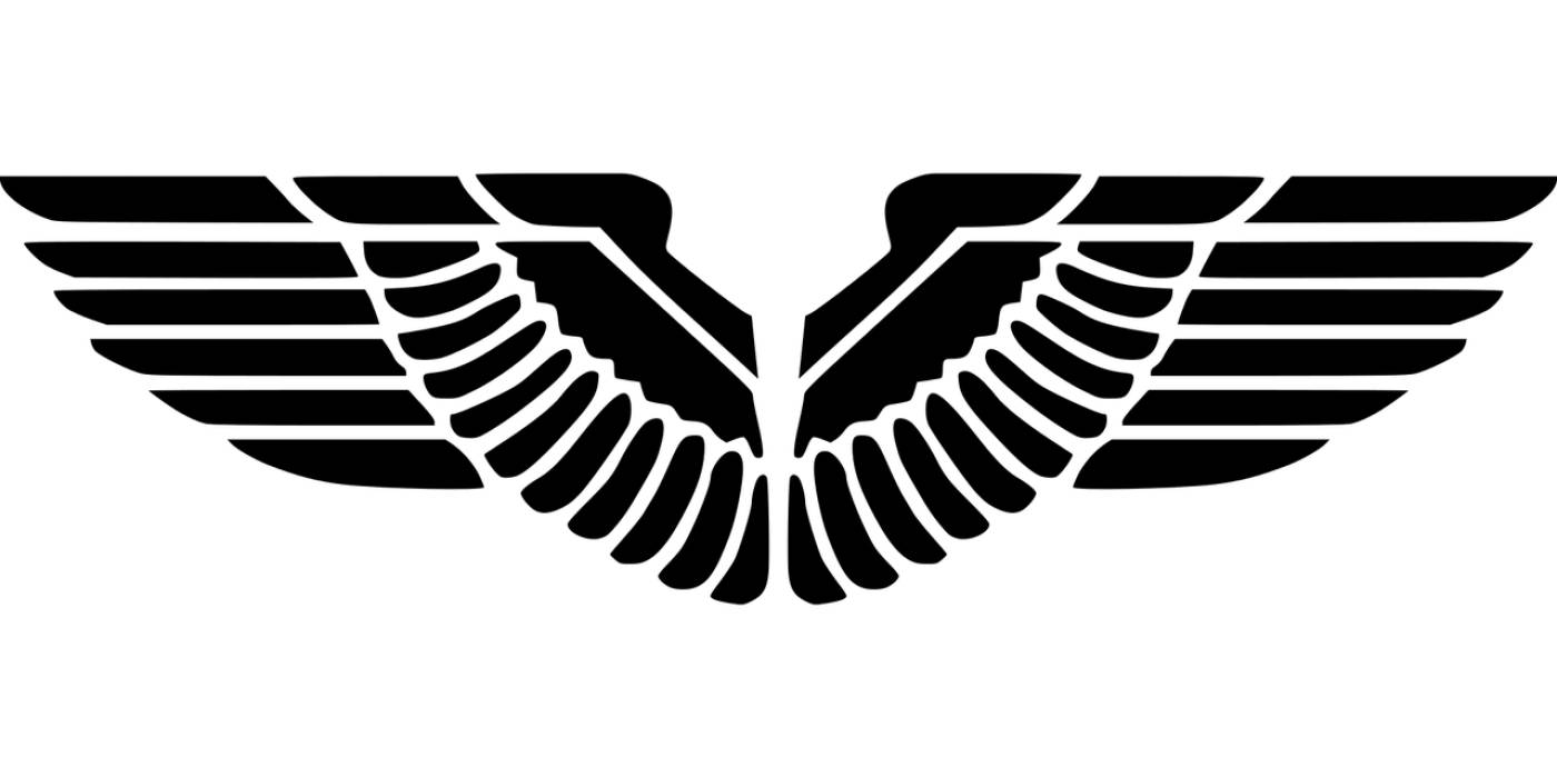 animal bird eagle emblem feathers  svg vector