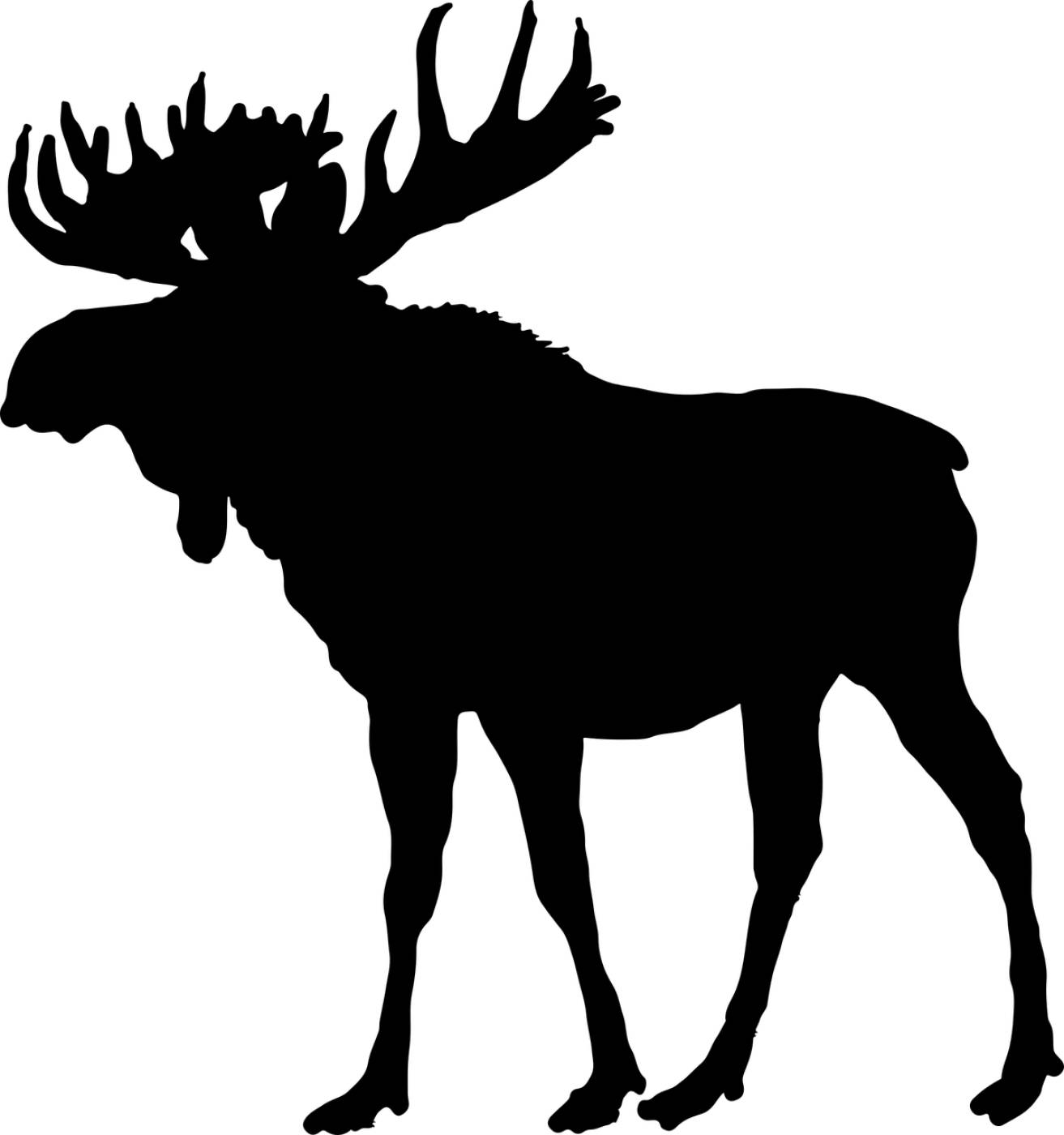 animal canada horns moose  svg vector