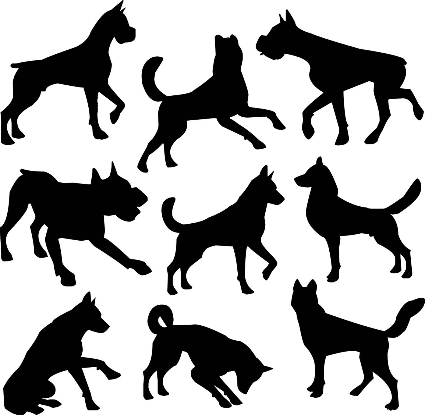 animal canine clips dog pet puppy  svg vector
