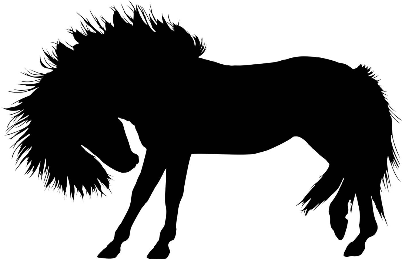 animal equine horse silhouette  svg vector
