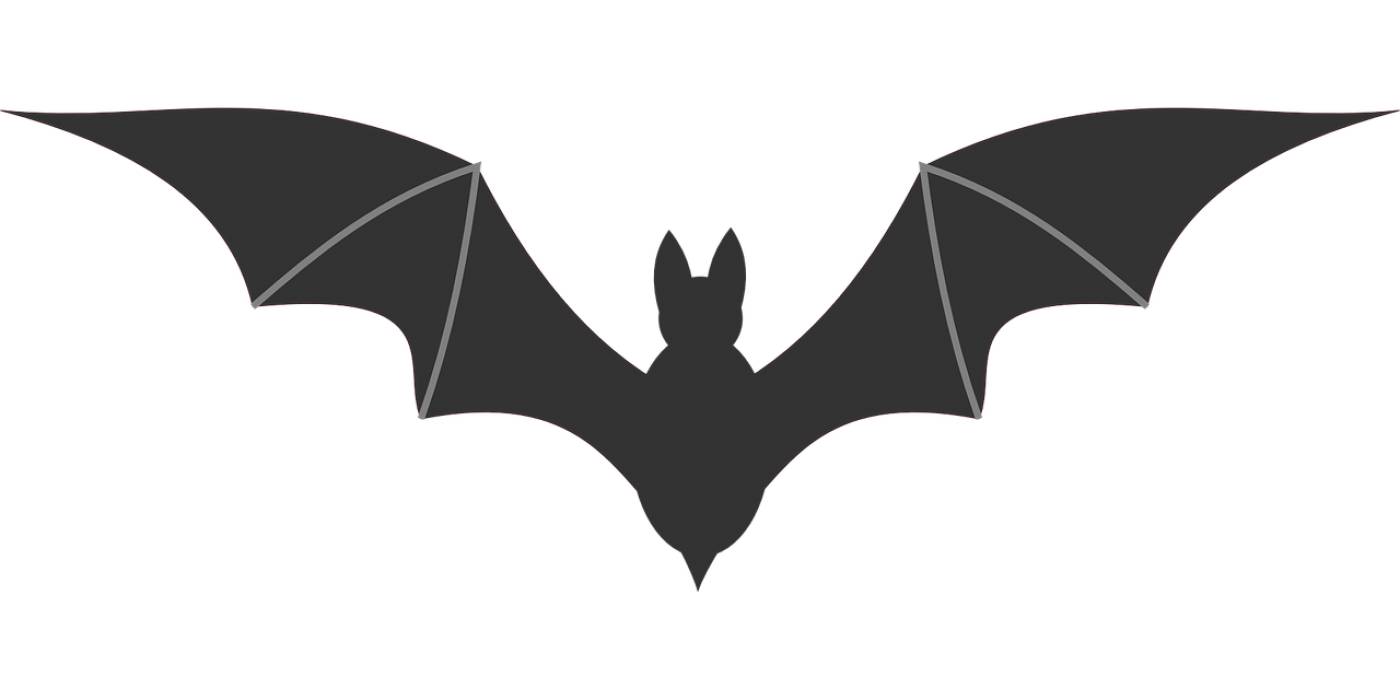 bat icon symbol black silhouette  svg vector