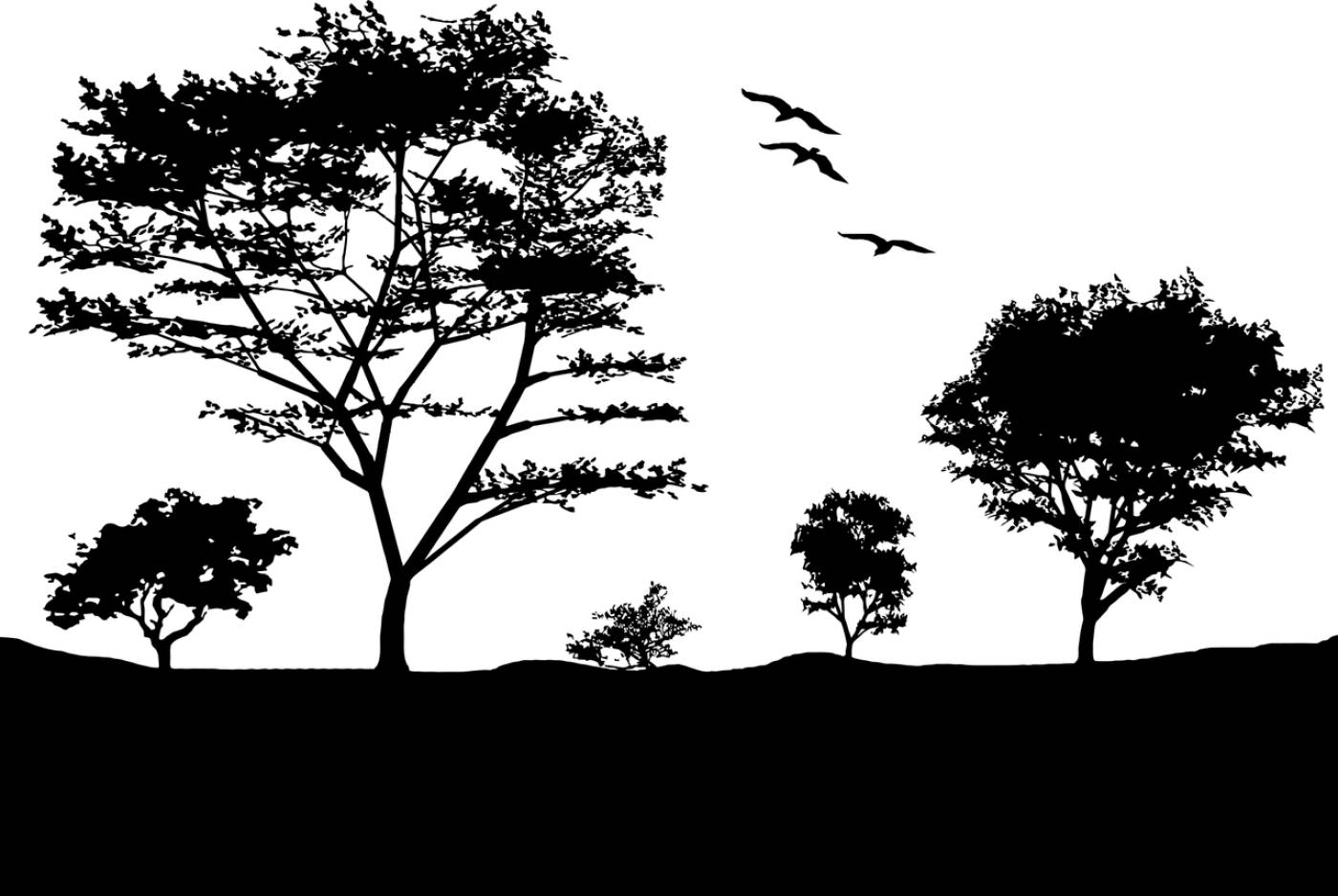 birds landscape silhouette trees  svg vector