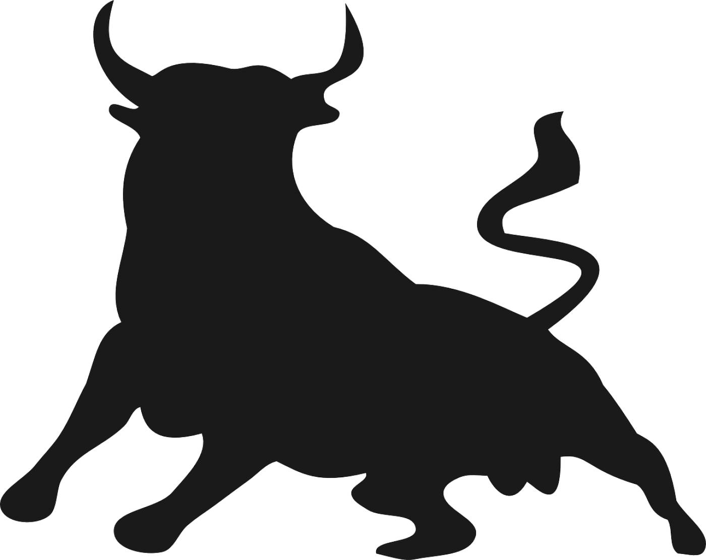 bull buffalo animal mammal horns  svg vector