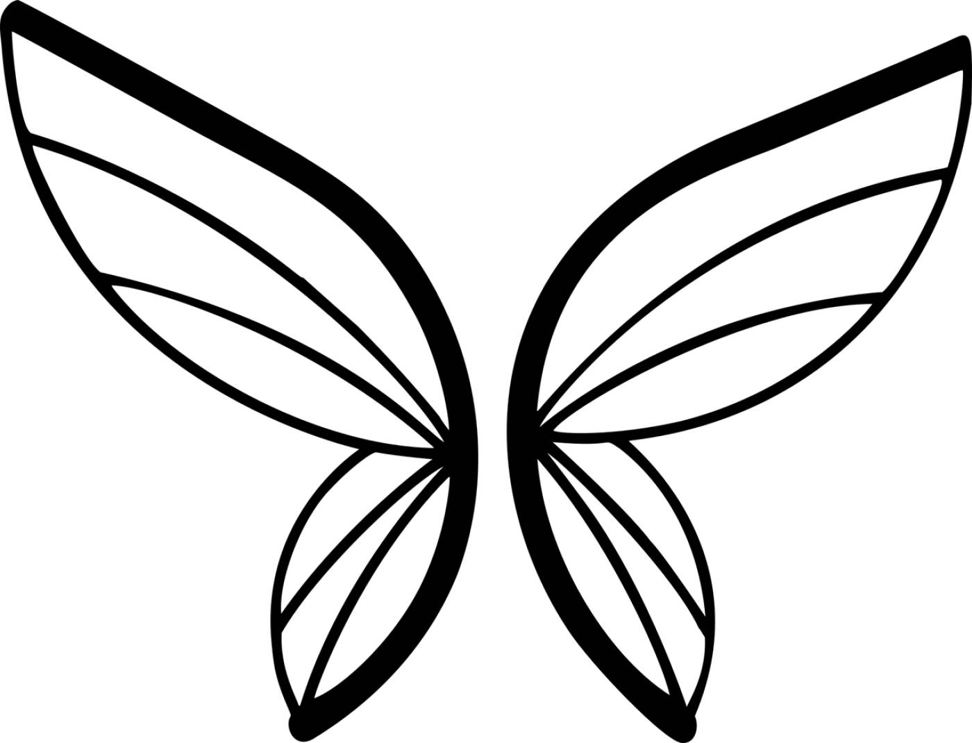 butterfly insect wings animal  svg vector
