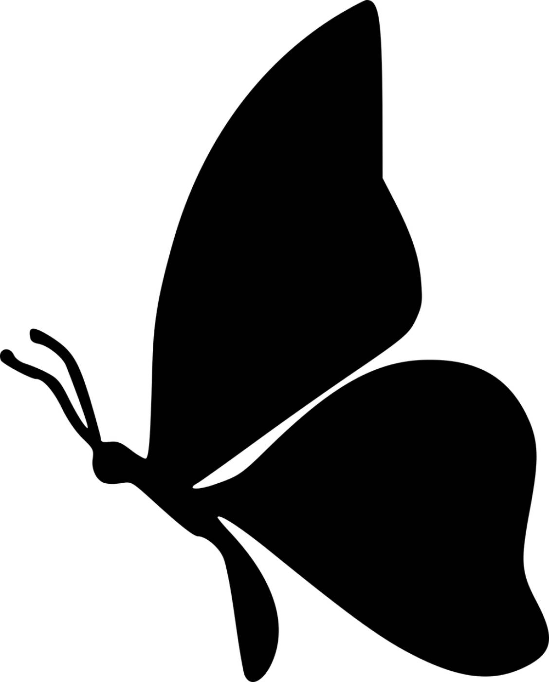 butterfly insects silhouette  svg vector