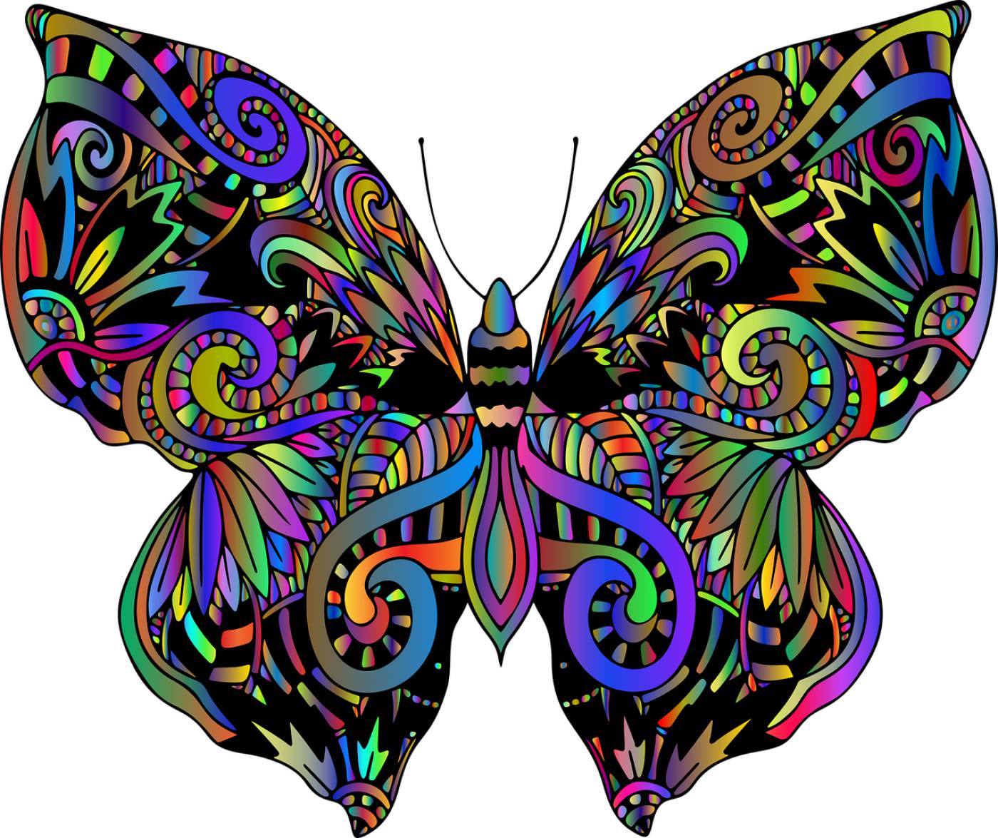 butterfly zentangle mandala insect  svg vector