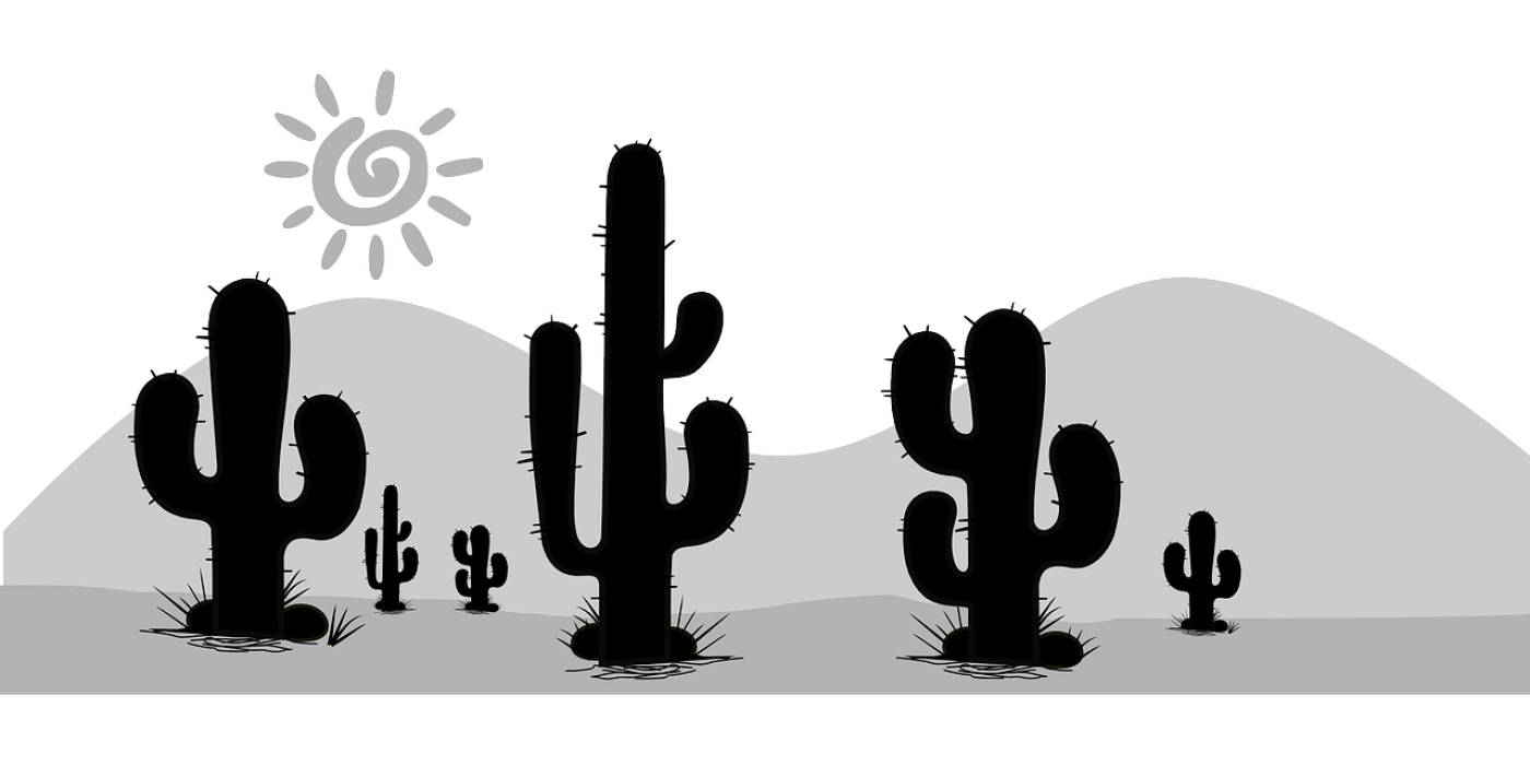 cacti desert death valley dunes  svg vector