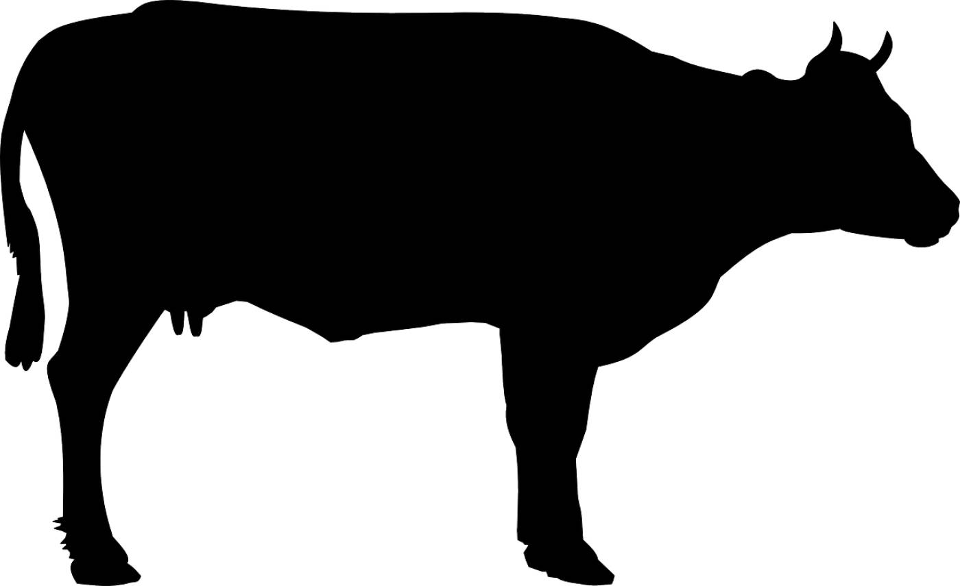 cattle beef cattle cow foot meat  svg vector
