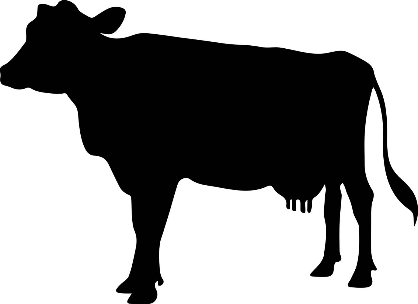cow icon cow bos taurus farm  svg vector