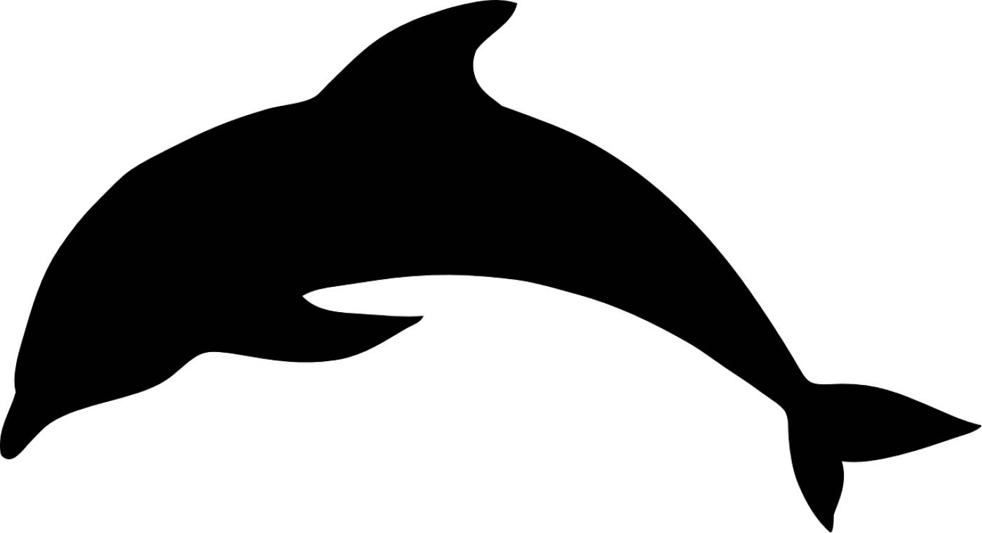 dolphin mammal animal ocean sea  svg vector
