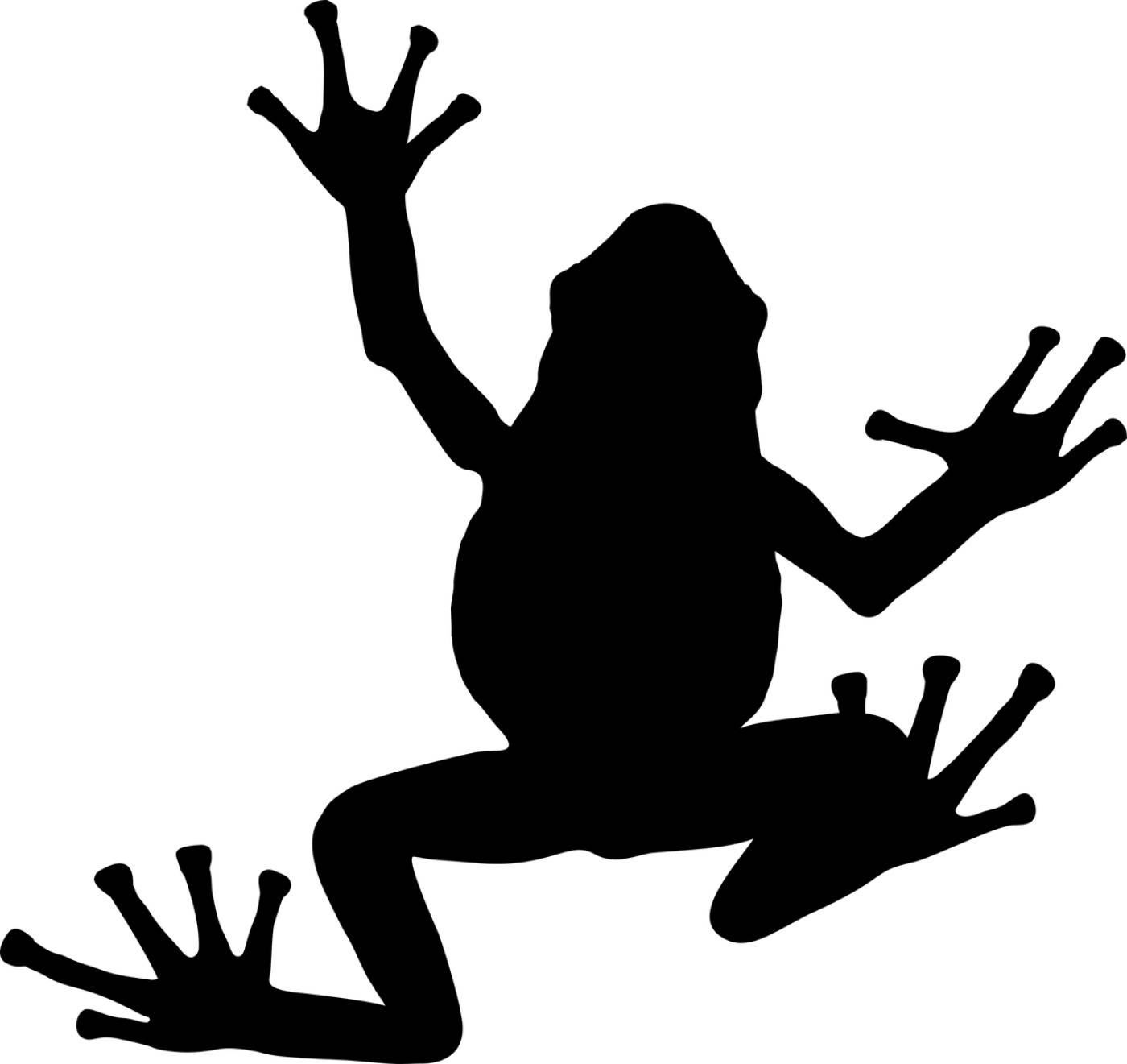 frog amphibian animal silhouette  svg vector
