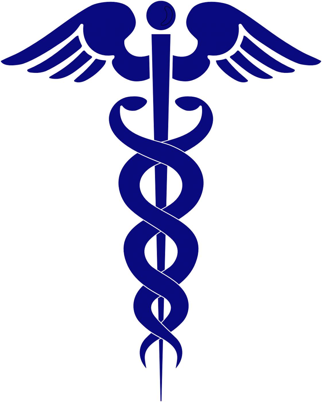 health medicine serpent wings  svg vector