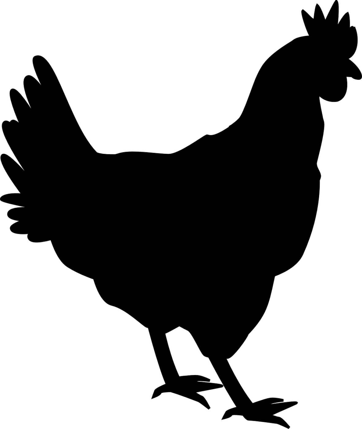 hen chicken fowl poultry farm  svg vector