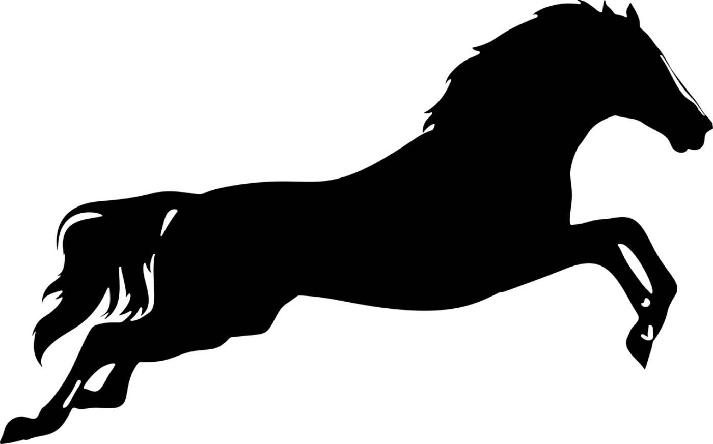 leaping jumping horse animal  svg vector