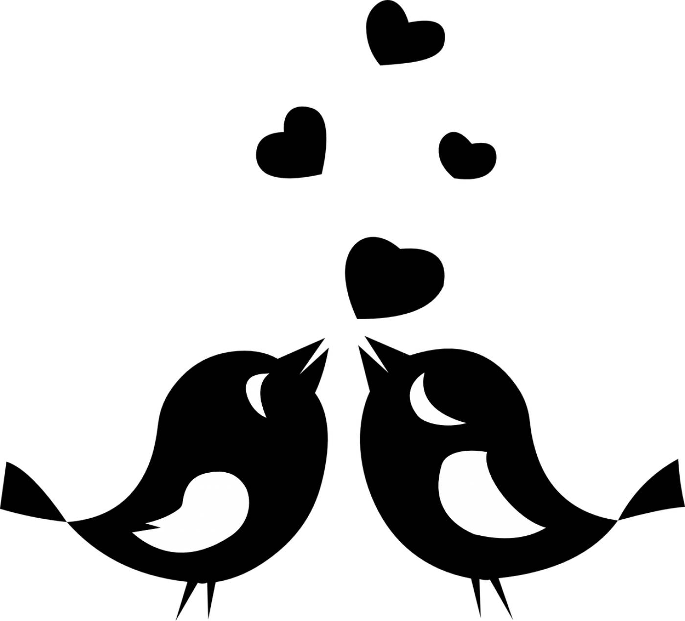 love birds animals flying hearts  svg vector