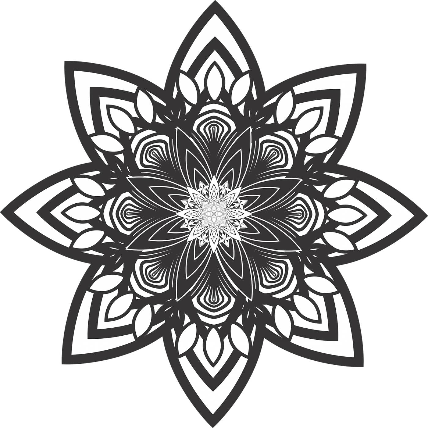 mandala flower pattern healing  svg vector