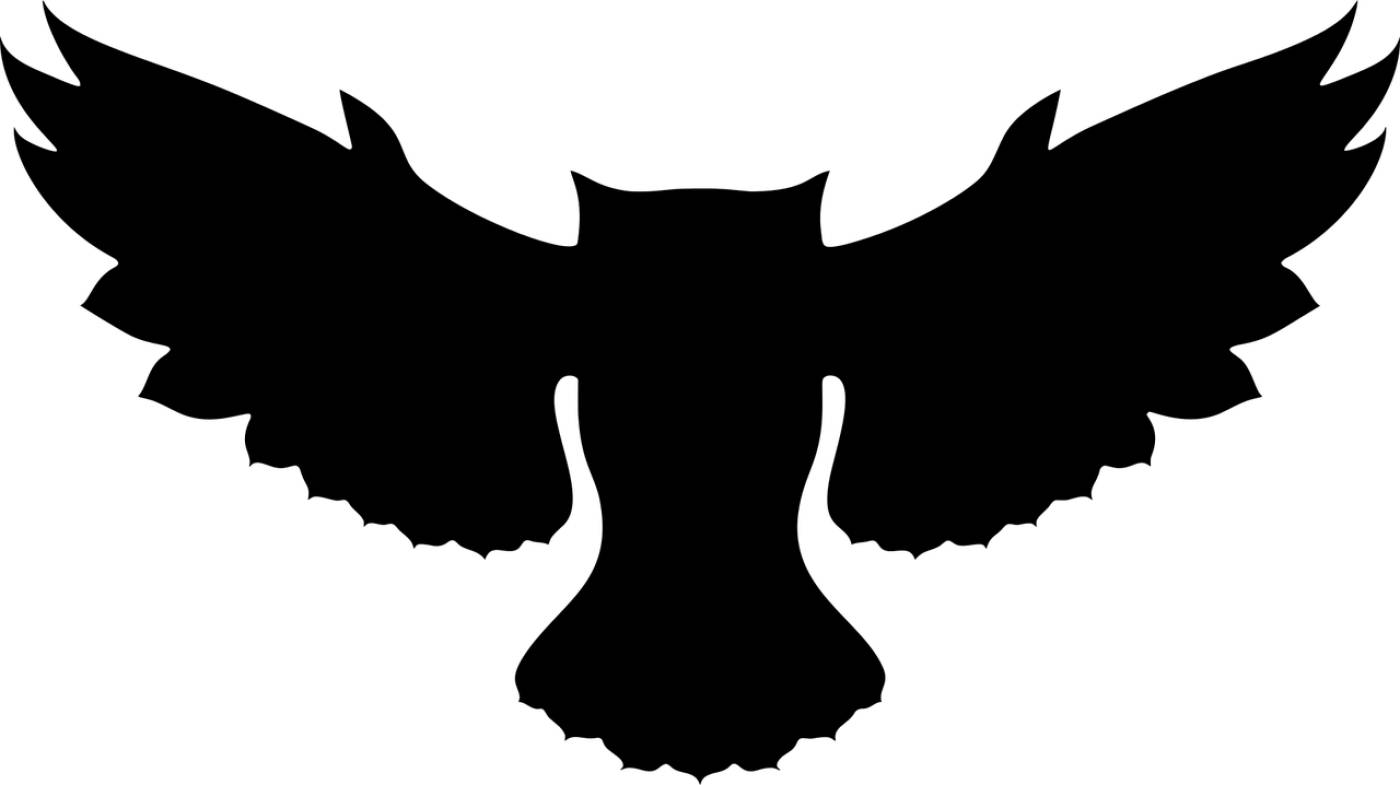 owl bird animal wings spread  svg vector